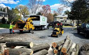 Best Seasonal Cleanup (Spring/Fall)  in El Monte, CA
